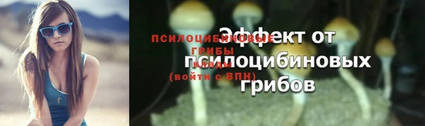 прущие крисы Аркадак