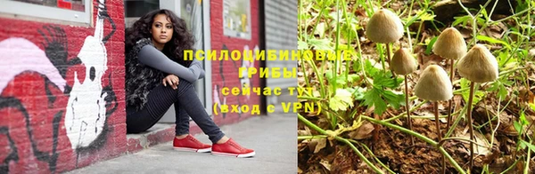 прущие крисы Аркадак