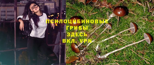 не бодяженный Арсеньев