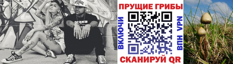 Псилоцибиновые грибы GOLDEN TEACHER  Ряжск 